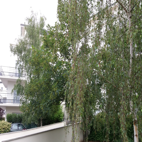 Offres de vente Appartement Saint-Cyr-sur-Loire 37540